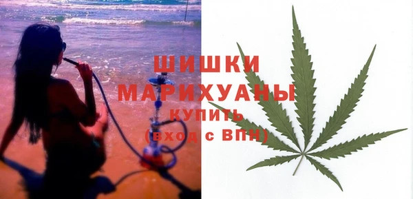 прущие грибы Волосово