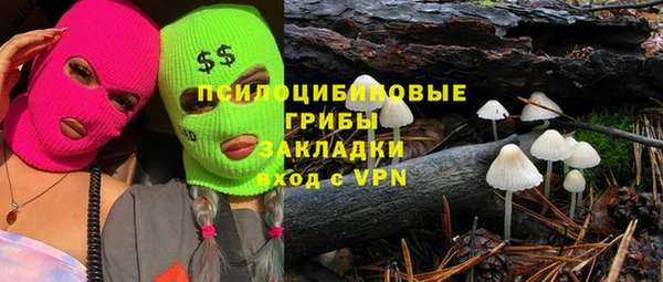 прущие грибы Волосово