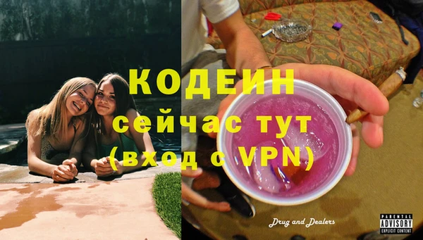 прущие грибы Волосово