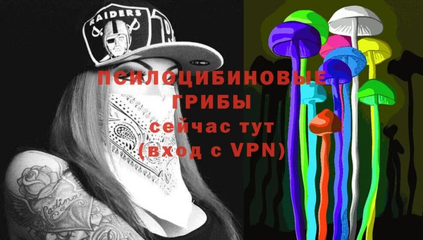 прущие грибы Волосово