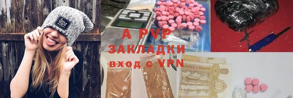 прущие грибы Волосово